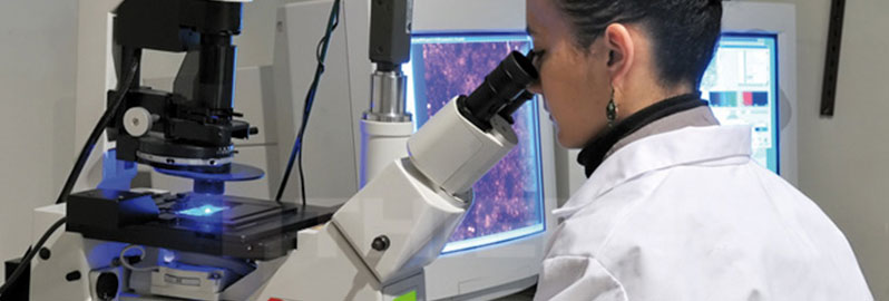 Kavanagh Recycling | Laboratory & Medical Recycling